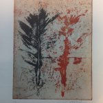 4-FOTOS-NUEVAS-SIN-AGRUPAR-401