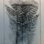 5-FOTOS-NUEVAS-SIN-AGRUPAR-405