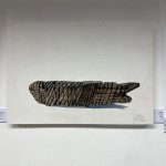 namohaanga-10