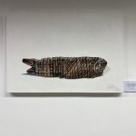 namohaanga-16