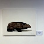 namohaanga-18