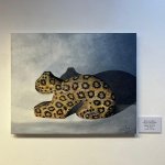 namohaanga-19